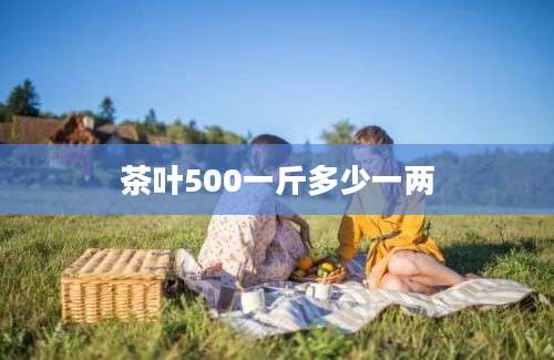 茶叶500一斤多少一两