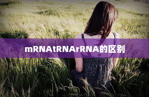 mRNAtRNArRNA的区别