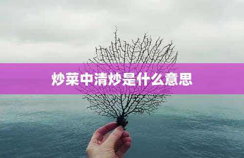 炒菜中清炒是什么意思