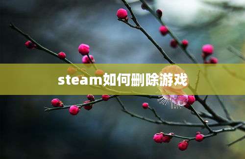 steam如何删除游戏