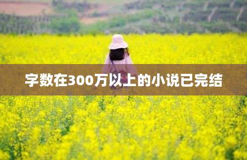 字数在300万以上的小说已完结