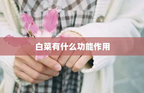 白菜有什么功能作用