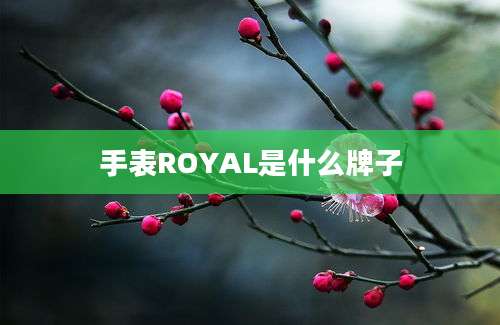 手表ROYAL是什么牌子