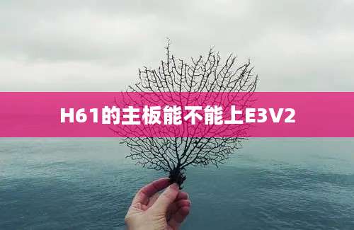 H61的主板能不能上E3V2