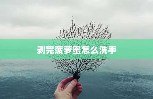 剥完菠萝蜜怎么洗手