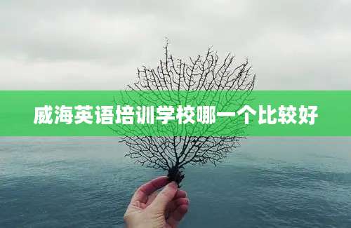 威海英语培训学校哪一个比较好