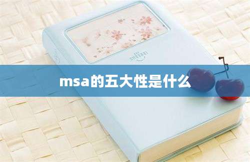 msa的五大性是什么