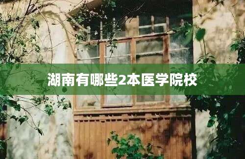 湖南有哪些2本医学院校