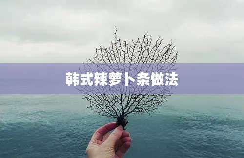 韩式辣萝卜条做法