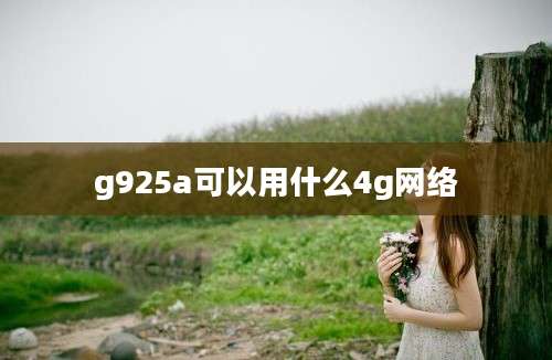 g925a可以用什么4g网络