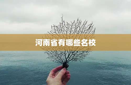 河南省有哪些名校