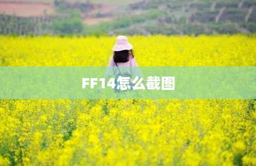 FF14怎么截图