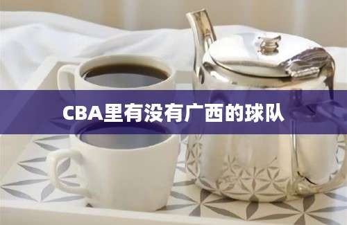 CBA里有没有广西的球队