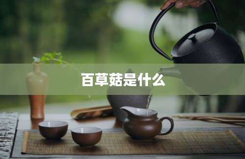 百草菇是什么