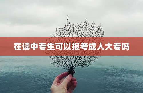 在读中专生可以报考成人大专吗