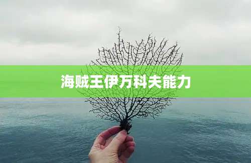 海贼王伊万科夫能力