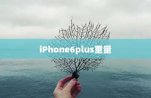 iPhone6plus重量