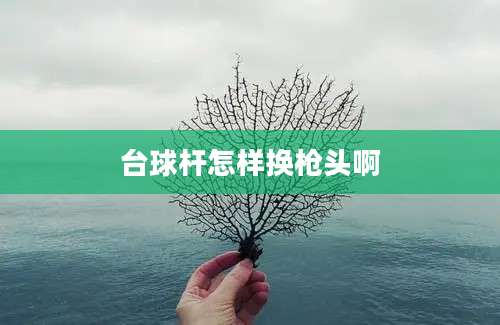 台球杆怎样换枪头啊