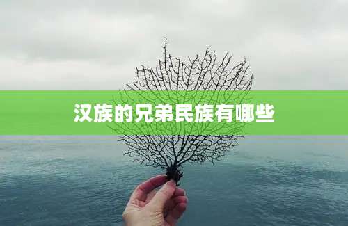 汉族的兄弟民族有哪些