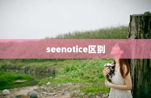 seenotice区别