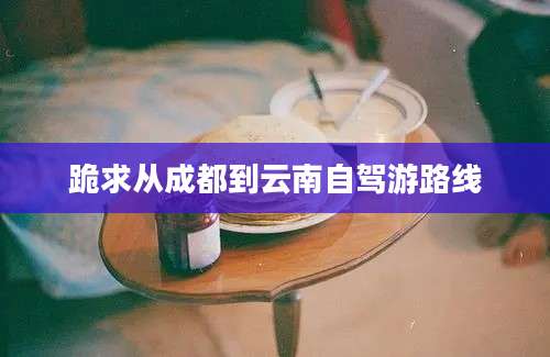 跪求从成都到云南自驾游路线