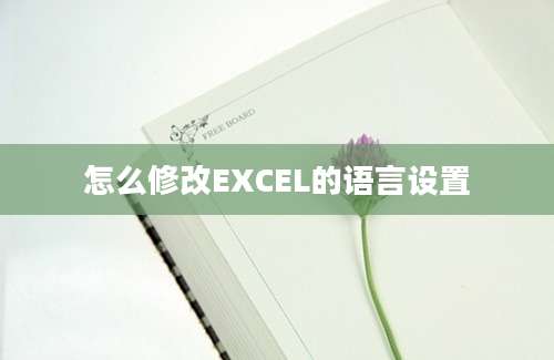 怎么修改EXCEL的语言设置