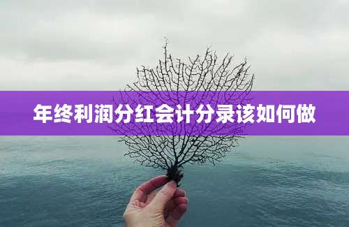 年终利润分红会计分录该如何做