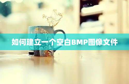 如何建立一个空白BMP图像文件