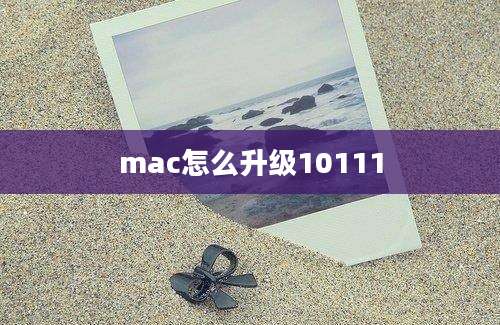 mac怎么升级10111