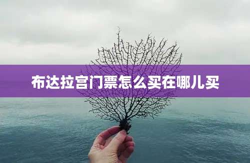 布达拉宫门票怎么买在哪儿买