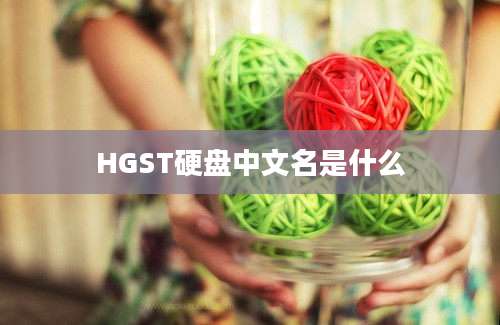 HGST硬盘中文名是什么