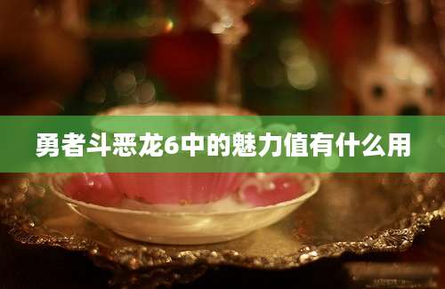 勇者斗恶龙6中的魅力值有什么用