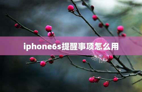 iphone6s提醒事项怎么用