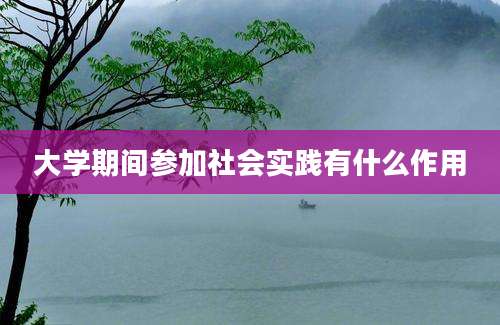 大学期间参加社会实践有什么作用