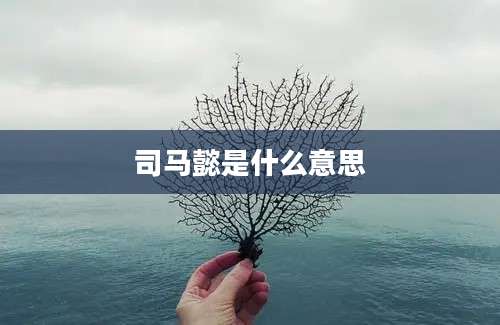 司马懿是什么意思