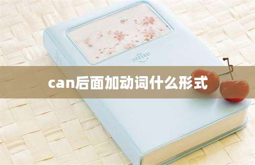 can后面加动词什么形式