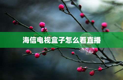 海信电视盒子怎么看直播