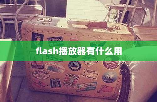 flash播放器有什么用