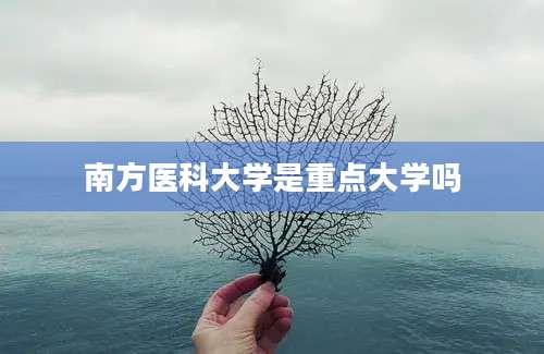 南方医科大学是重点大学吗