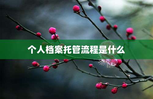 个人档案托管流程是什么