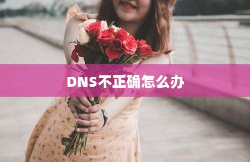 DNS不正确怎么办