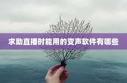 求助直播时能用的变声软件有哪些