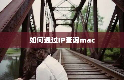 如何通过IP查询mac