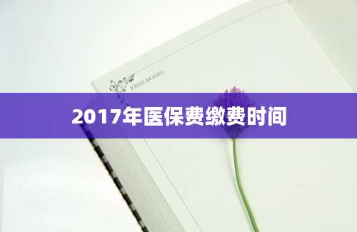 2017年医保费缴费时间