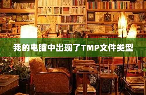 我的电脑中出现了TMP文件类型