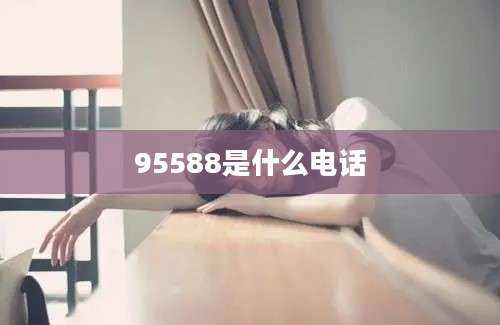 95588是什么电话