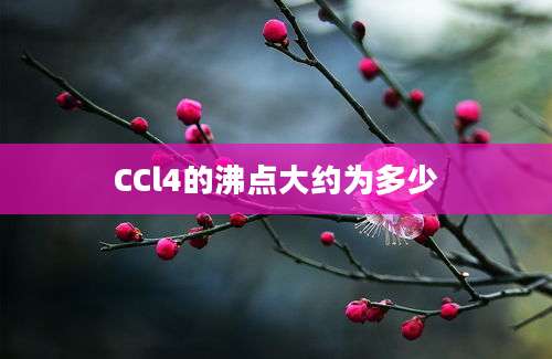 CCl4的沸点大约为多少