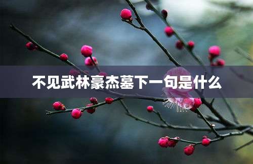 不见武林豪杰墓下一句是什么