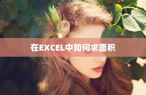 在EXCEL中如何求面积