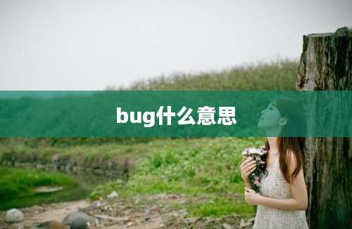 bug什么意思